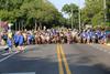 IMG_0018 (cam 2)
