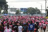 IMG_0219 (cam 1)