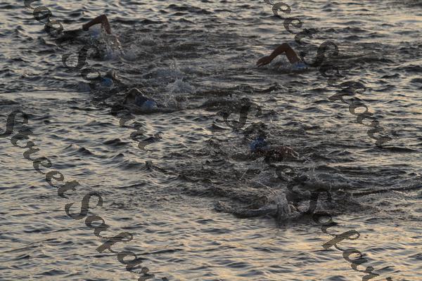 Pensacola Triathlon