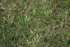 IMG_0098 (cam 1)