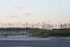 IMG_0001 (cam 2)
