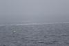 IMG_0005 (cam 1)