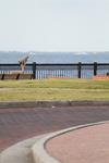 IMG_0001 (cam 1)
