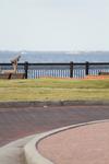 IMG_0004 (cam 1)