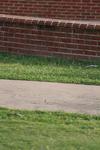 IMG_0018 (cam 1)