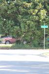 IMG_0005 (cam 1)