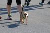 IMG_3312 (cam 1)