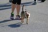 IMG_3315 (cam 1)
