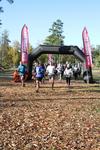 IMG_0017 (cam 1)