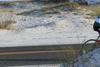 IMG_7854 (cam 2)