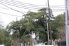 IMG_0014 (cam 1)