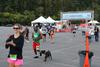 IMG_0625 (cam 1)