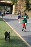 IMG_6451 (cam 2)