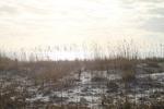IMG_0001 (cam 2)