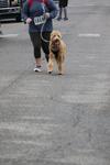 IMG_3488 (cam 1)