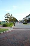 IMG_0919 (cam 1)