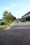 IMG_0966 (cam 1)