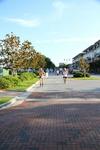 IMG_1460 (cam 1)