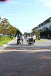 IMG_2490 (cam 1)