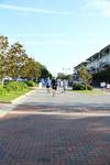 IMG_2494 (cam 1)