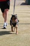 IMG_6590 (cam 1)