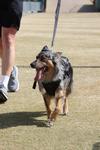 IMG_6593 (cam 1)