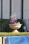 IMG_2967 (cam 2)