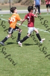 IMG_0061 (cam 0)