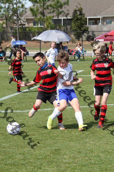 IMG_0012 (cam 0)