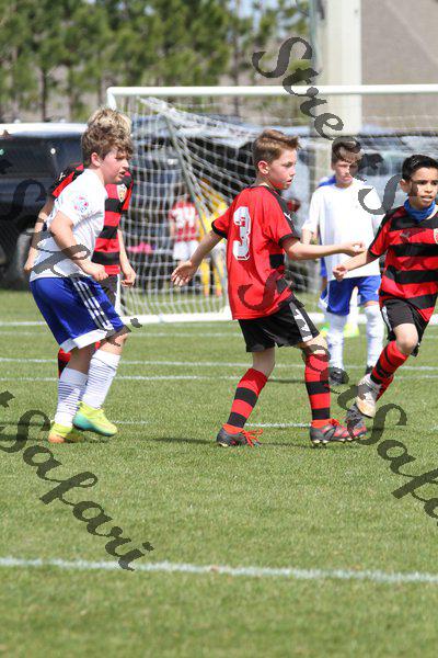 IMG_0045 (cam 0)