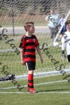 IMG_0007 (cam 0)