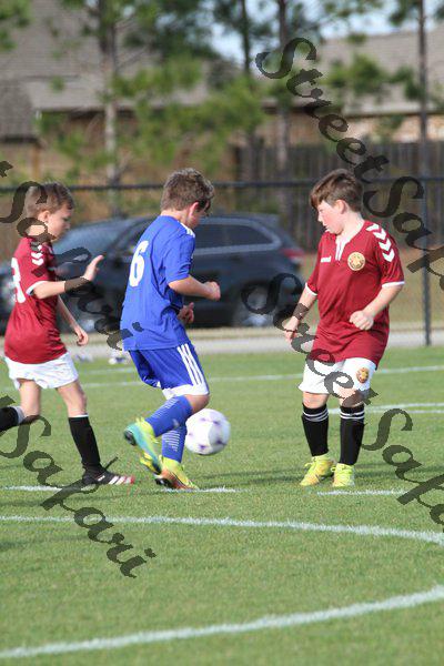 IMG_0053 (cam 0)