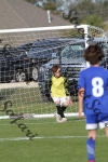 IMG_0041 (cam 0)