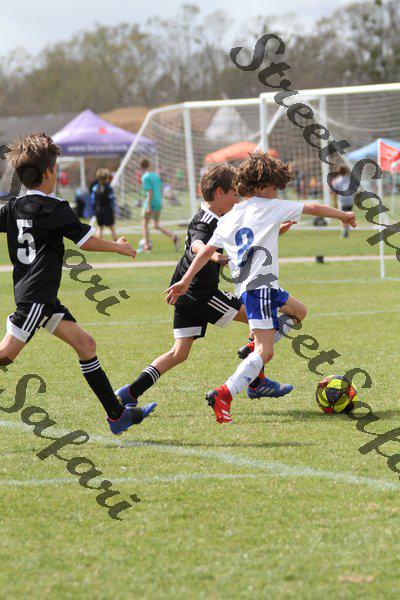IMG_0097 (cam 0)