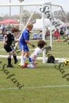 IMG_0077 (cam 0)