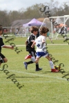 IMG_0096 (cam 0)