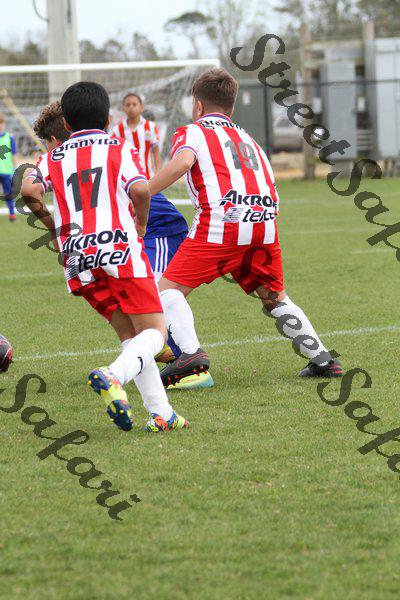 IMG_0049 (cam 0)