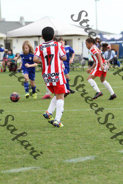 IMG_0055 (cam 0)