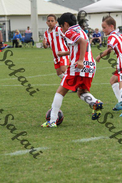 IMG_0072 (cam 0)