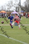 IMG_0042 (cam 0)
