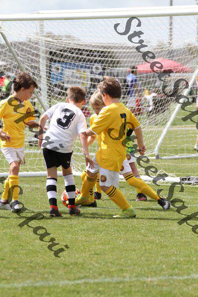 IMG_0008 (cam 0)