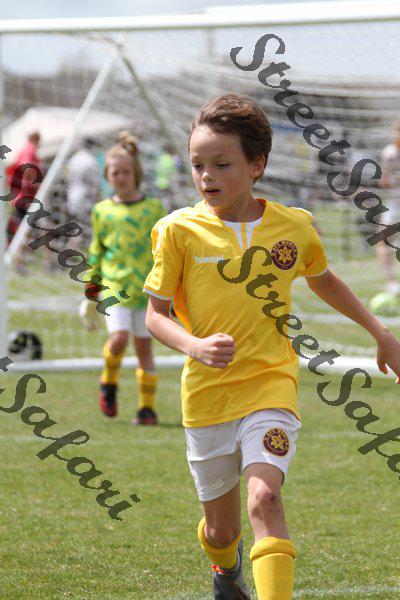 IMG_0012 (cam 0)