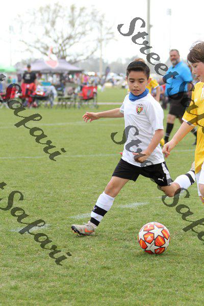 IMG_0024 (cam 0)