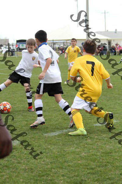 IMG_0026 (cam 0)