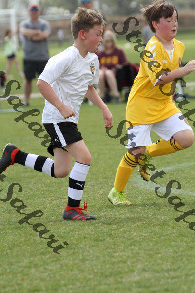 IMG_0080 (cam 0)