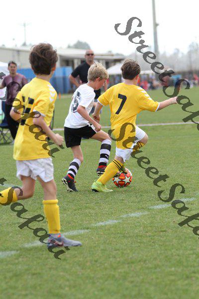 IMG_0091 (cam 0)