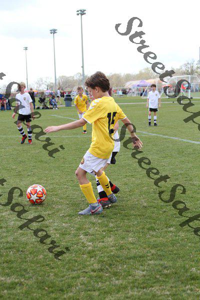 IMG_0101 (cam 0)