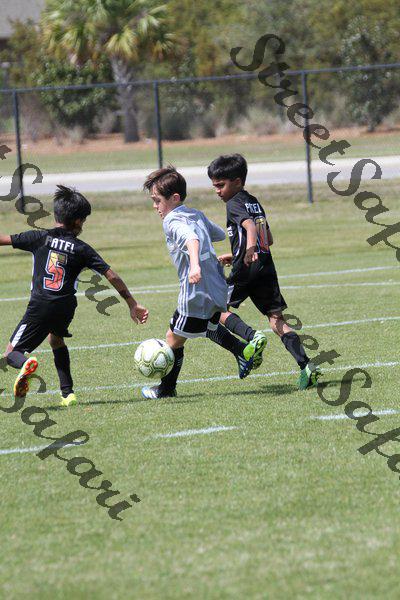 IMG_0017 (cam 0)