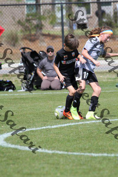 IMG_0102 (cam 0)
