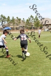 IMG_0051 (cam 0)
